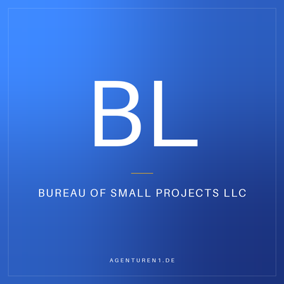 Bureau Of Small Projects LLC