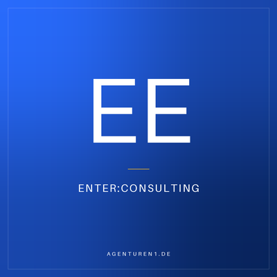 enter:consulting