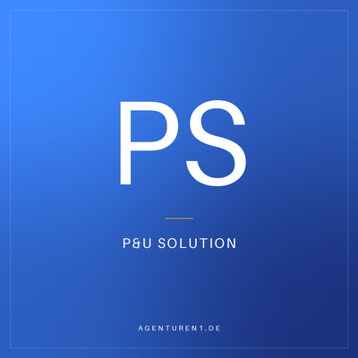 P&U SOLUTION