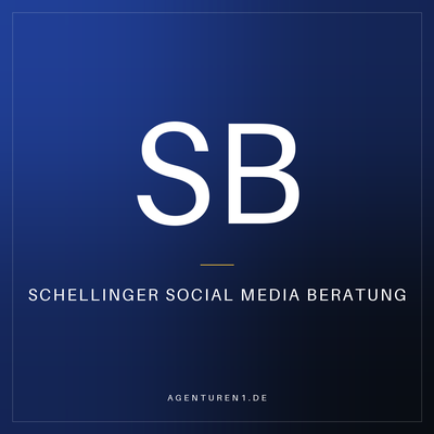 Schellinger Social Media Beratung
