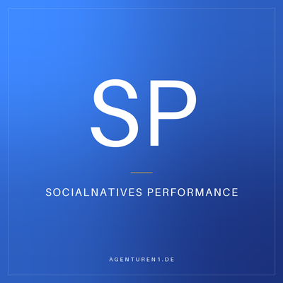 SocialNatives Performance