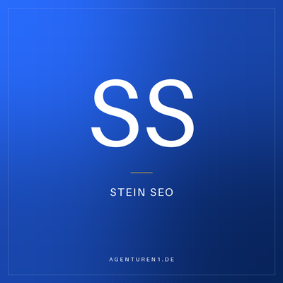 Stein SEO