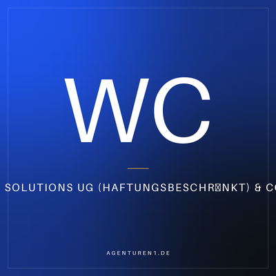 WDS Solutions UG (Haftungsbeschränkt) & Co.KG